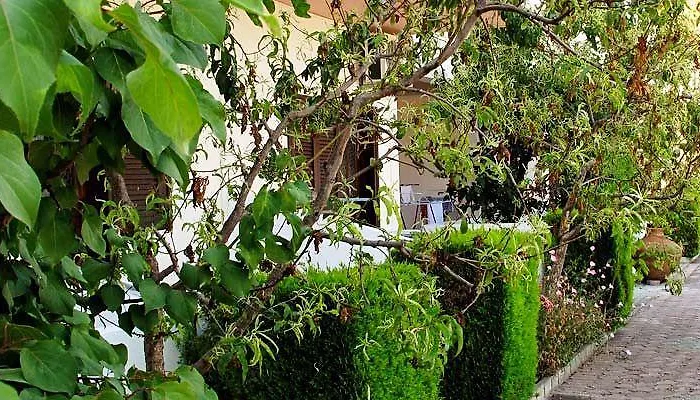 Aparthotel Skentos
